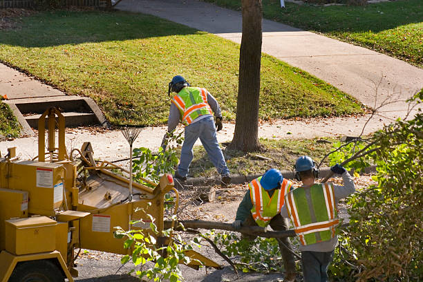 Lawn Irrigation Installation and Maintenance in Placentia, CA